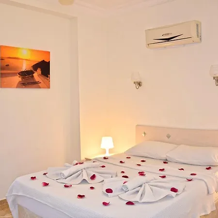 Timelettings Arnna أولدينيس
